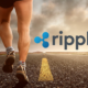 Ripple price recovery