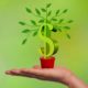 USD to INR Forecast: USD to Gain Further versus Indian Rupee