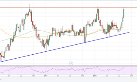 Axis Bank Share Price Chart Analysis