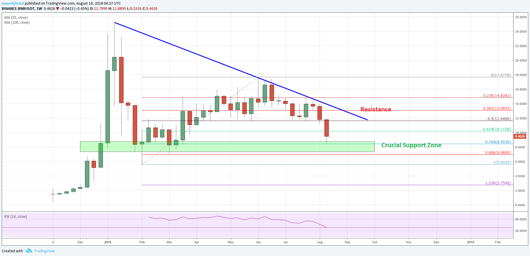 BNB (Binance Coin) Price Prediction and Long Term Support